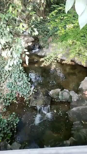圣铠传说